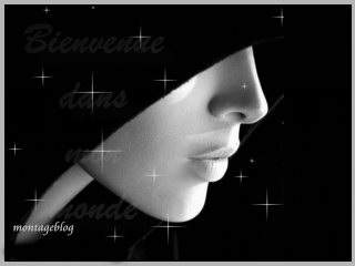 bienvenue